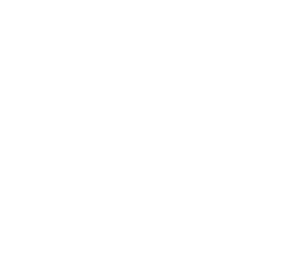 Alpha Voyage logo