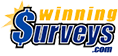 winningSurveys.com logo